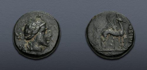 Lot 157 image