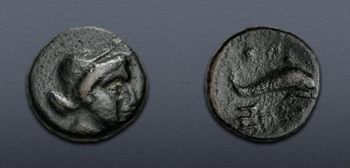 Lot 220 image