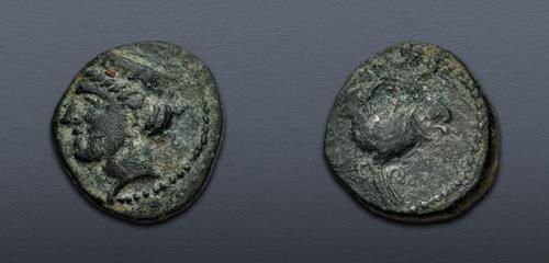 Lot 266 image