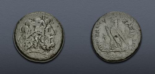 Lot 305 image