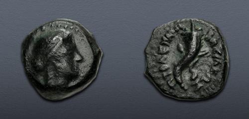 Lot 313 image