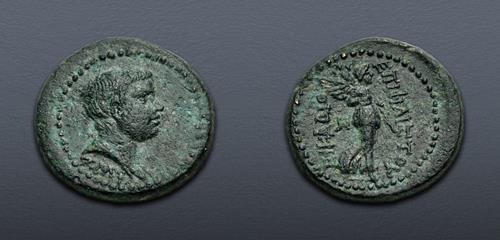 Lot 364 image