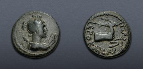 Lot 367 image