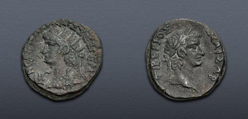 Lot 443 image