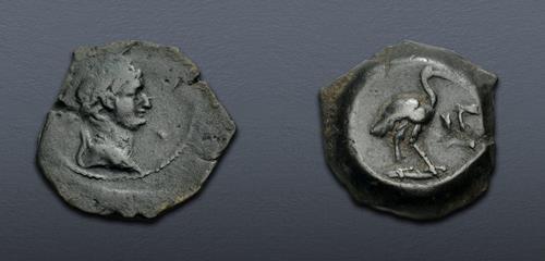 Lot 446 image