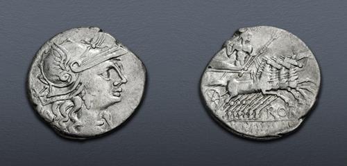 Lot 504 image