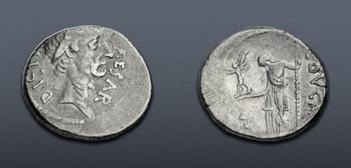 Lot 509 image