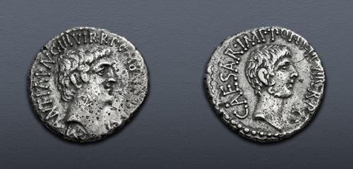Lot 511 image