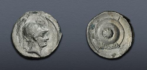 Lot 513 image