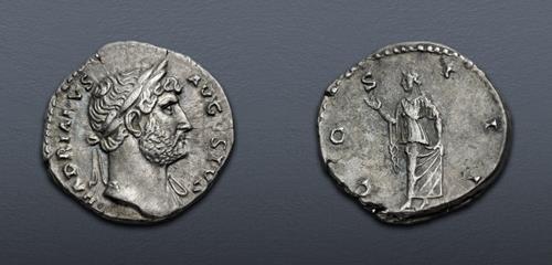 Lot 554 image