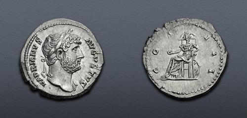 Lot 555 image