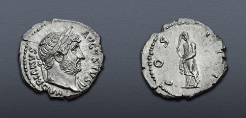 Lot 559 image