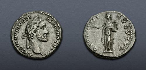 Lot 568 image