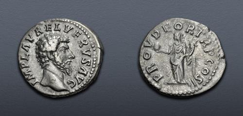 Lot 584 image