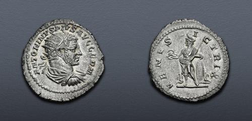 Lot 606 image