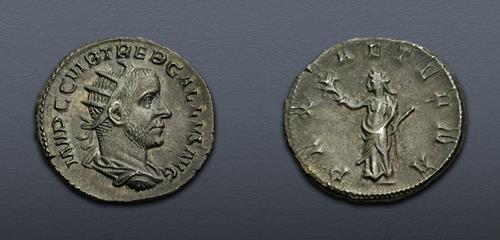 Lot 667 image