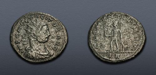 Lot 681 image
