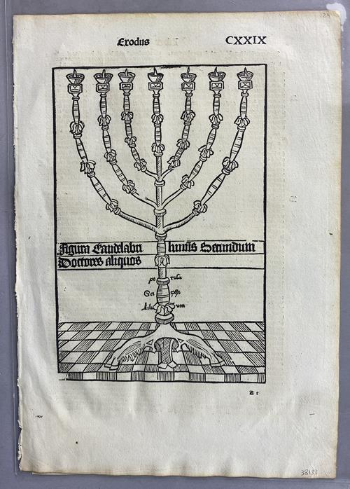 Lot 973 image