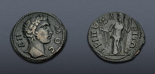 Lot 511 image