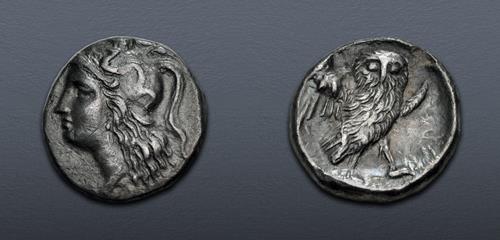 Lot 14 image