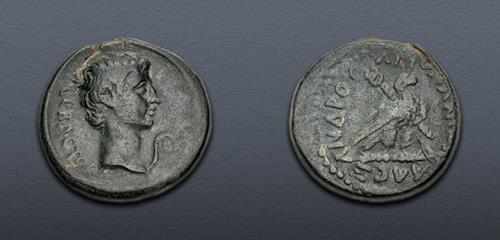 Lot 345 image