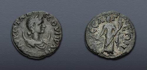 Lot 381 image