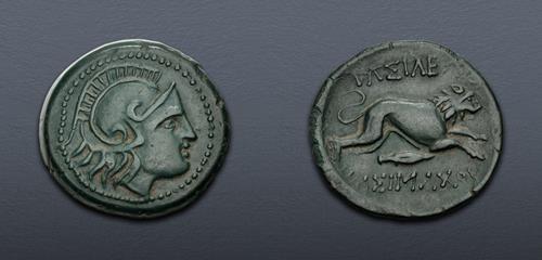 Lot 12 image