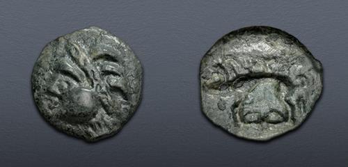 Lot 14 image