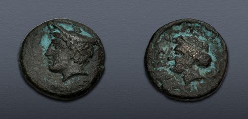 Lot 113 image