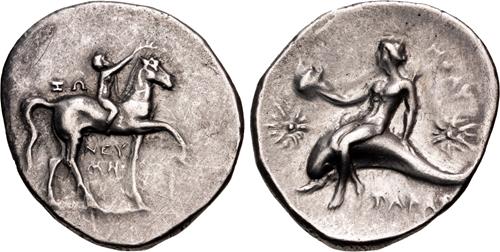 Lot 7 image