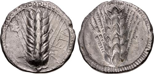 Lot 15 image
