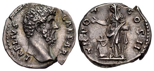 Lot 307 image