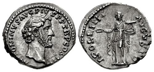 Lot 309 image