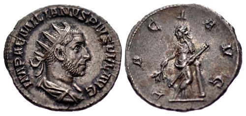 Lot 355 image