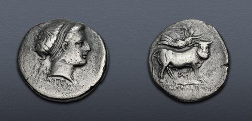 Lot 13 image