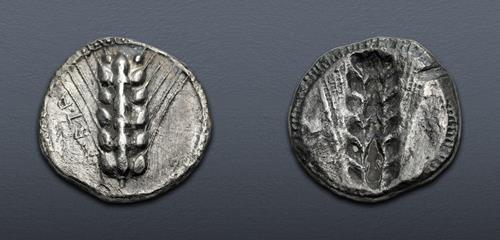 Lot 19 image
