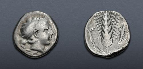 Lot 21 image
