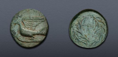 Lot 113 image