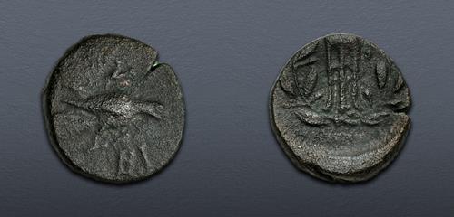 Lot 114 image