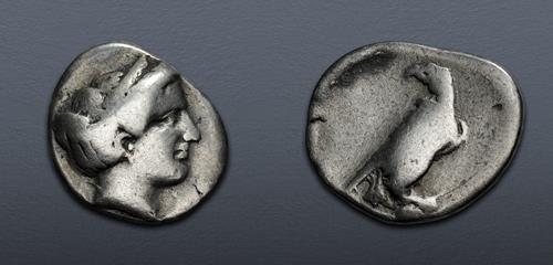 Lot 117 image