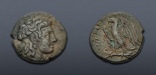 Lot 255 image