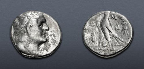 Lot 264 image