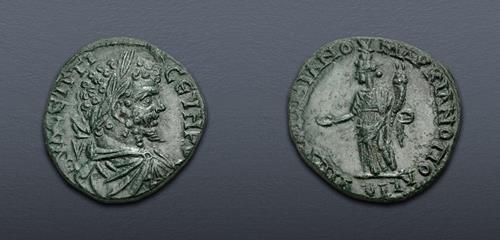 Lot 333 image