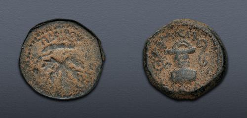 Lot 408 image