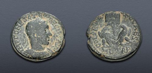 Lot 411 image