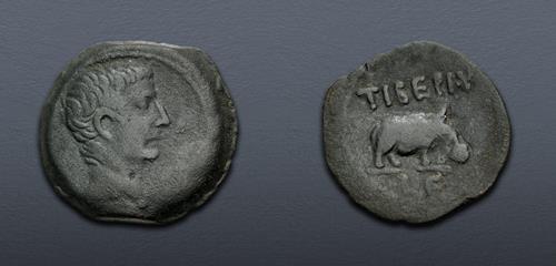 Lot 423 image