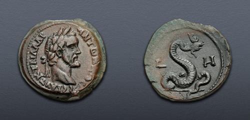 Lot 447 image