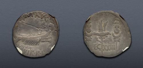 Lot 495 image