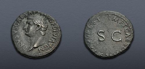 Lot 501 image