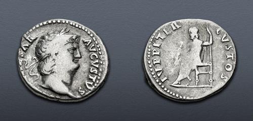 Lot 505 image